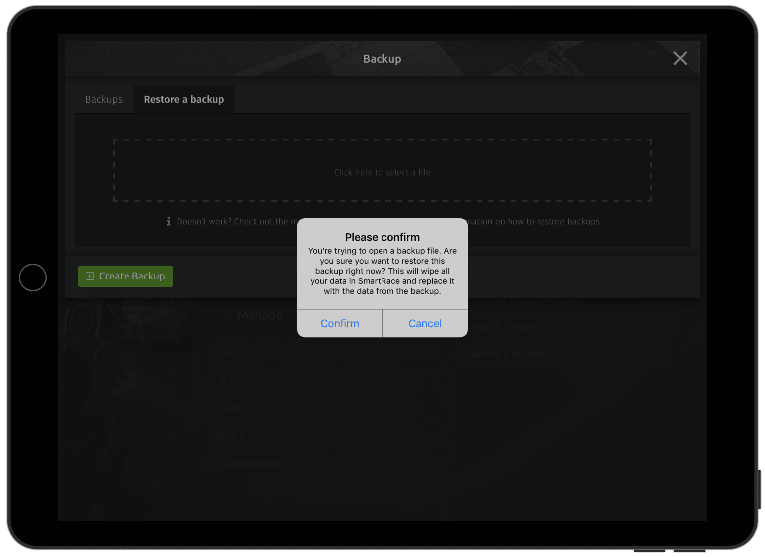 Backup & Restore - SmartRace for Scalextric ARC