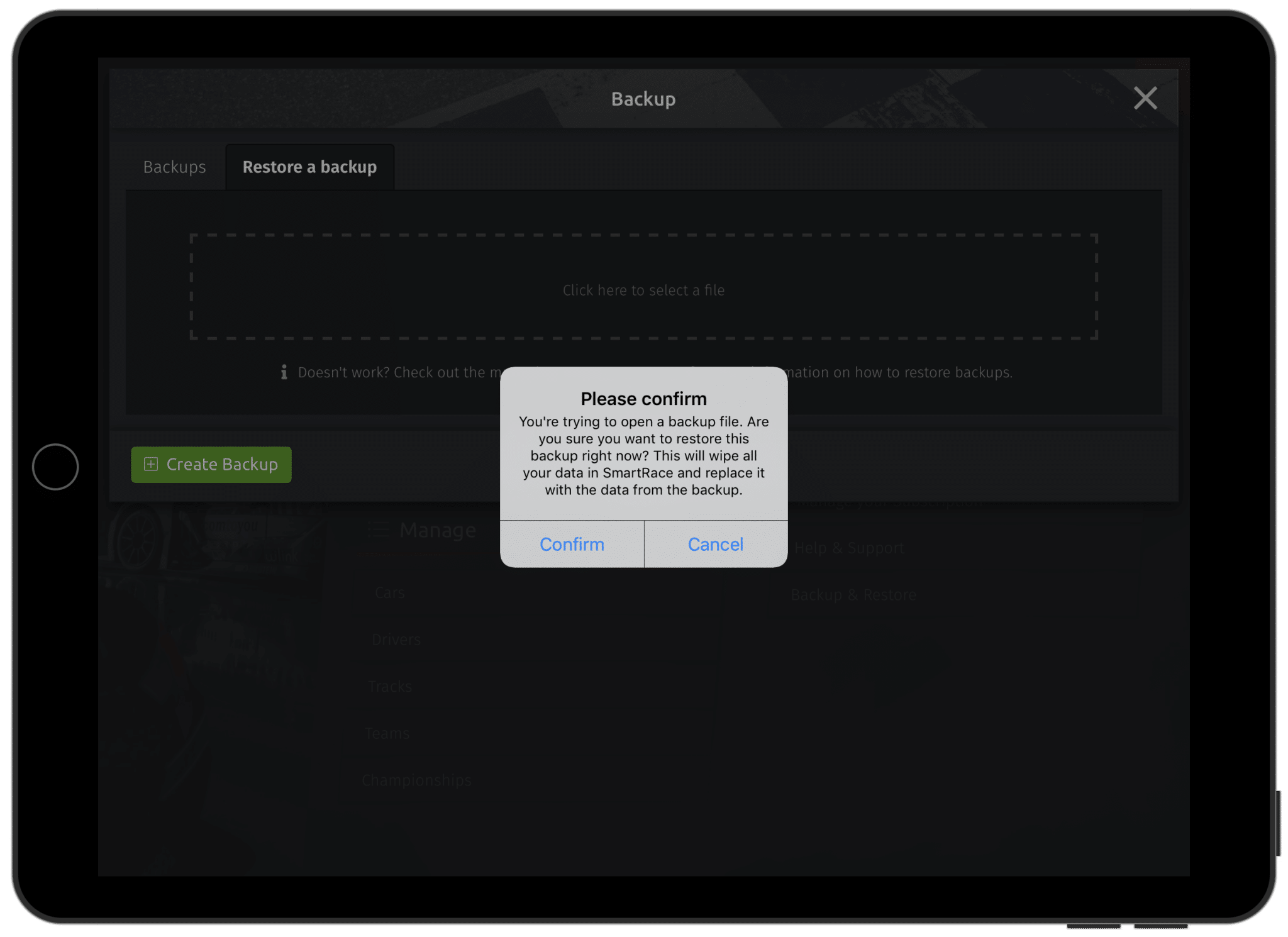 Backup & Restore - SmartRace for Scalextric ARC
